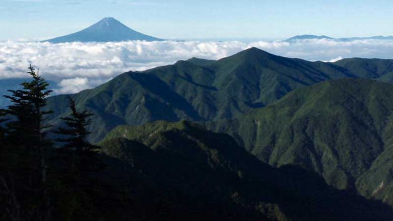 甲武信岳頂上より富士山を望む