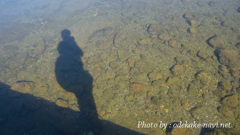 屈斜路湖の湖水に写るカメラマン