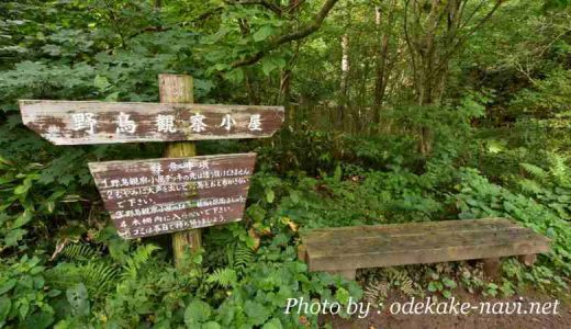函館山の散策コース・登山道の野鳥観察小屋