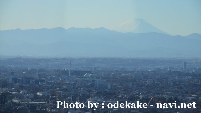 都庁 展望室 富士山 東京